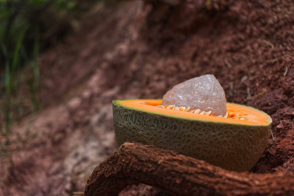 enzymes and good bacteria cantaloupe quartz crystal nature root woods beautiful serene dark photography